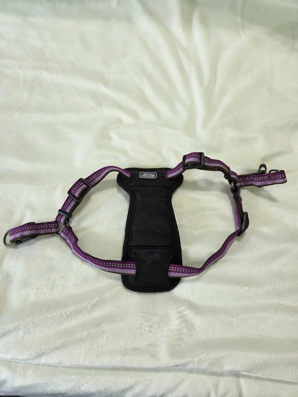 XS Coastal Explorer Purple Padded Dog Harness
